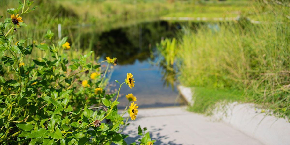 Green Stormwater Infrastructure GSI Design Workshop Sandra Stetson Aquatic Center DeLand 