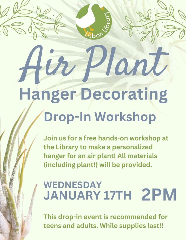 Adult Craft Air Plant Hanger Decorating, 28 Main St Lisbon Falls, ME