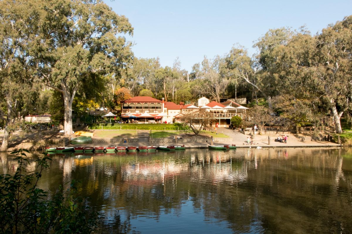 Yarra Bend Park Walk, Studley Park Boathouse Carpark, Kew, November 5