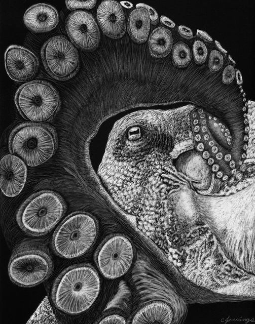 Events In Murrells Inlet In September 2021 Atalaya Arts And Crafts Festival 2022