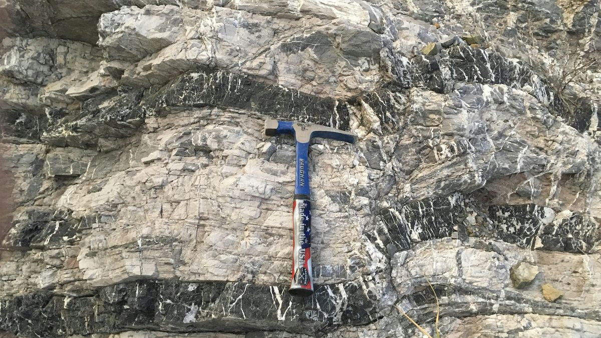 Bay Area Rocks for Kids, 6 December | Event in Fremont | AllEvents