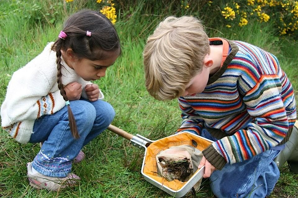 Grange Farm Young Zoologist Explorers (5+ years), Roding Valley Meadows ...