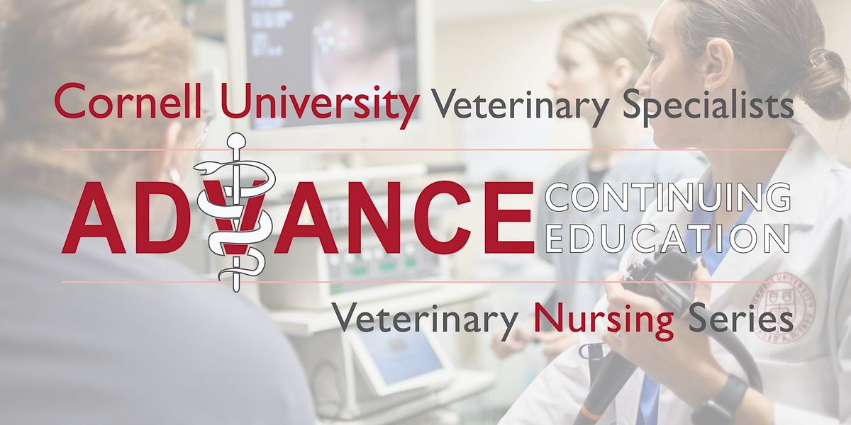 Fall 2022 Veterinary Nursing Series Internal Medicine, October 17 to