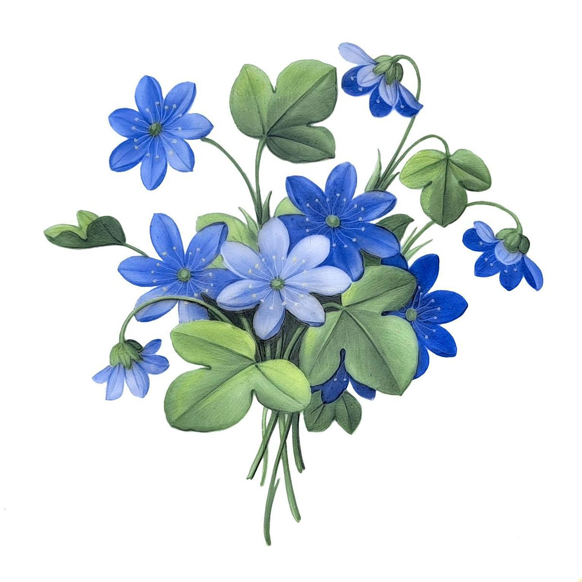 Die Blaue Blume Blumen in der Romantik mit Thoralf Weiß & Ingrid