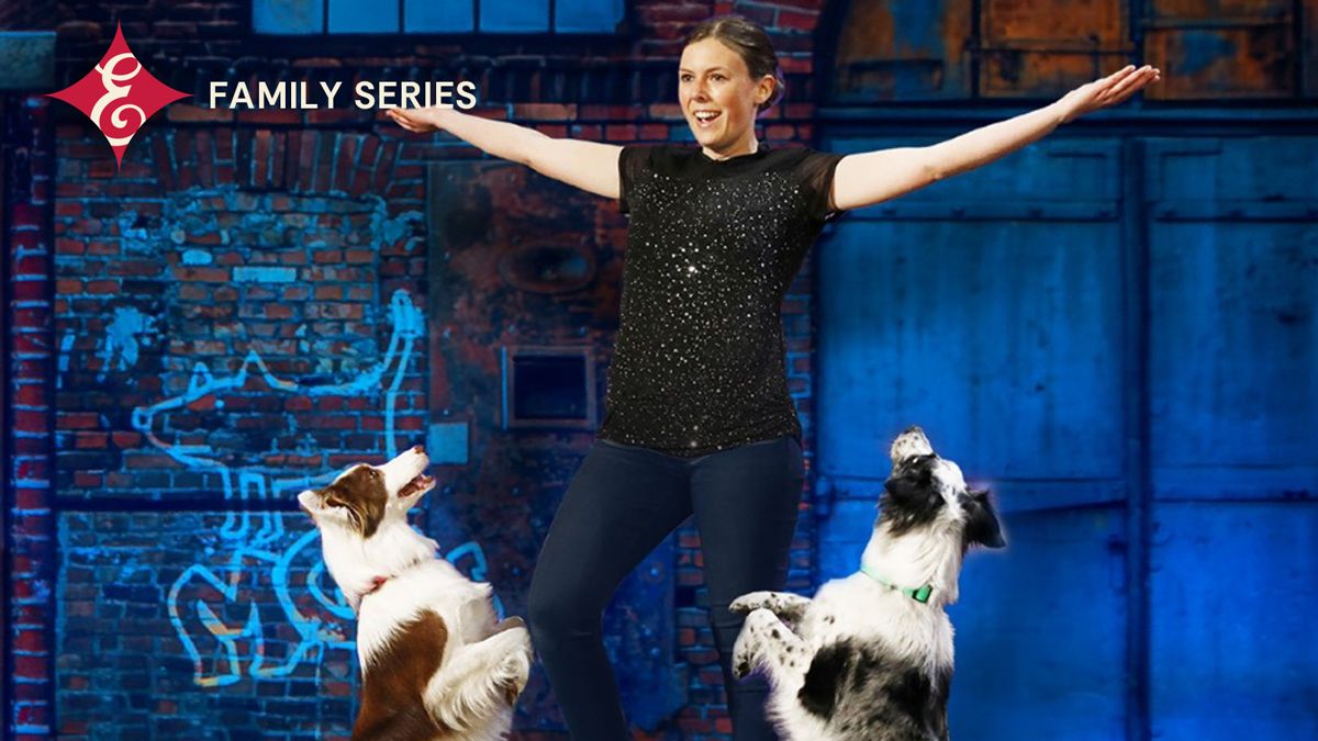 Mutts Gone Nuts, 13 December | Event in Pittsfield | AllEvents