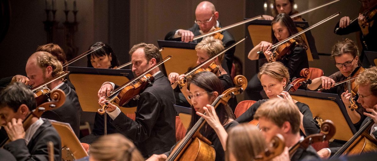 Konzerthausorchester Berlin, Sheku Kanneh-Mason in BERLIN, 11 July | Event in Berlin | AllEvents