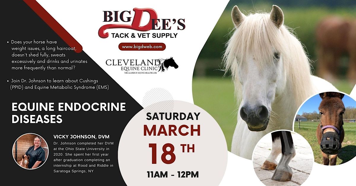 Seminar Series Equine Cushings and Metabolic Disease, Big Dee's Tack