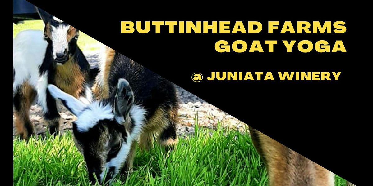 Goat Yoga at Juniata Winery, Juniata Valley Winery & Wilson House Bed