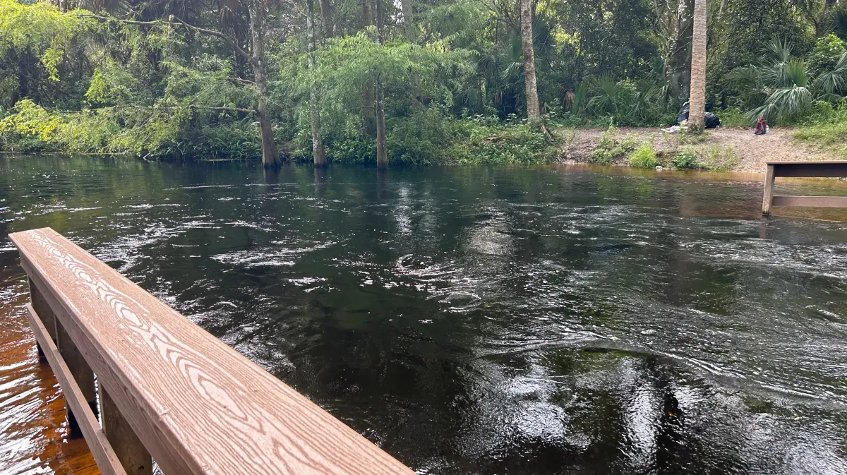 Paddle "Wild & Scenic" Loxahatchee River, 11 November | Event in Jupiter | AllEvents