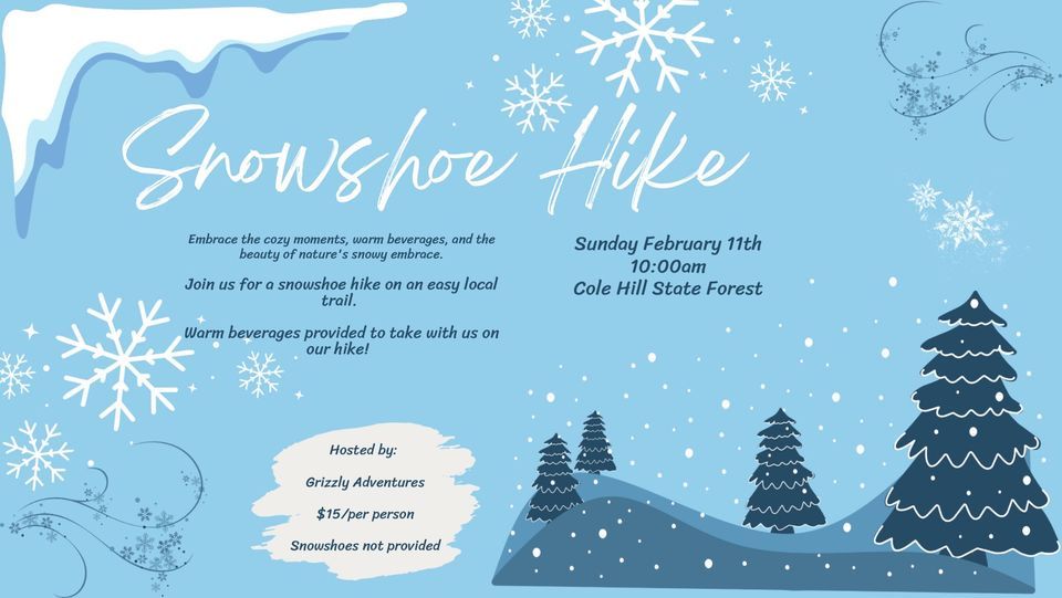 Beginner Snowshoe Hike, Cole Hill State Forrest, East Berne, February
