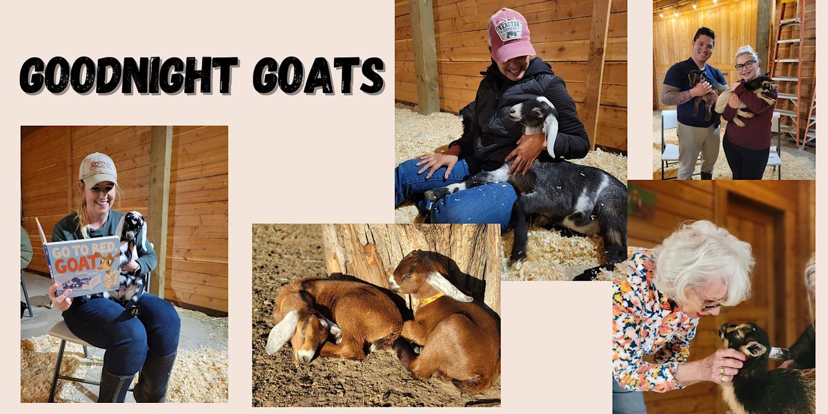 Goodnight Goats, Spenker Family Farm, Lodi, May 5 2023 AllEvents.in