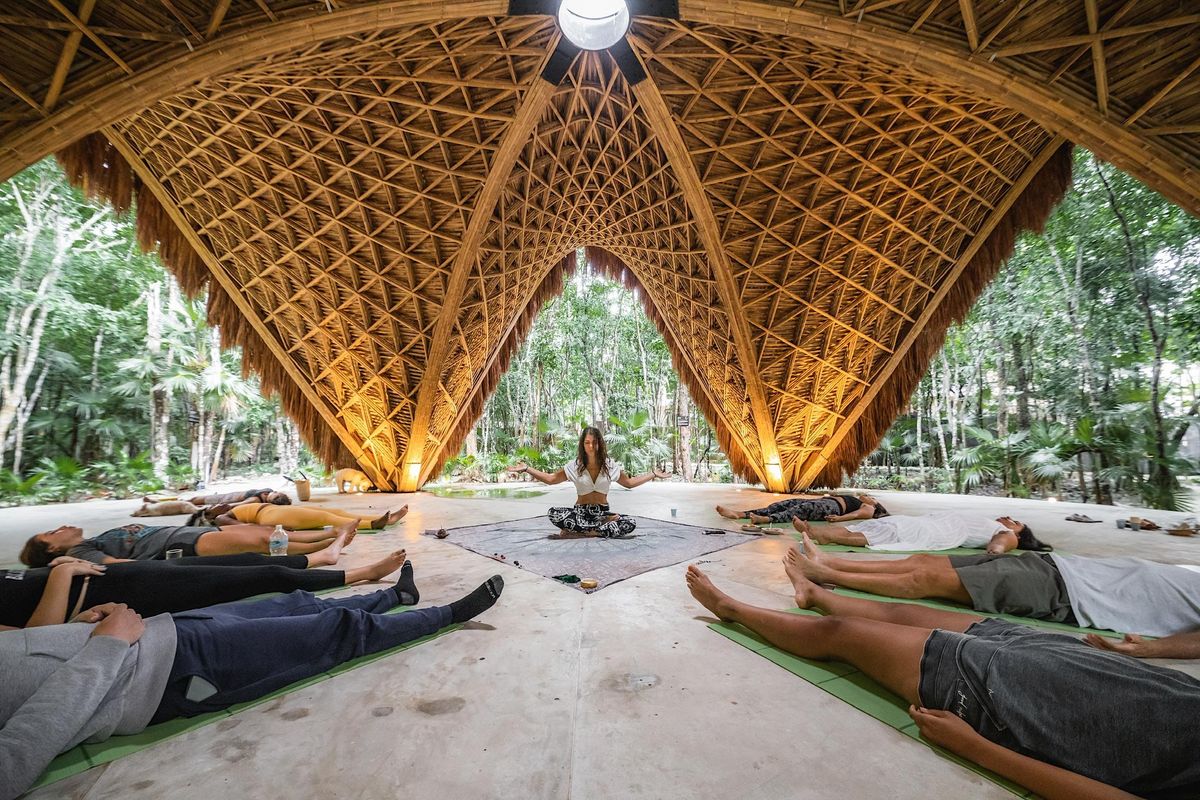 Reiki Circle, Sound Healing & Community Connection, Colee Hammock Park