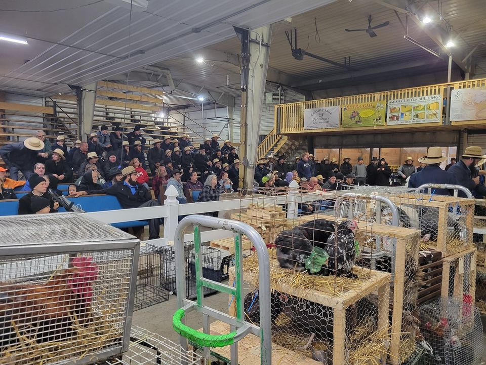 Monthly Hay/Straw, Small Animal, Horse and Tack Auction, Mid Michigan