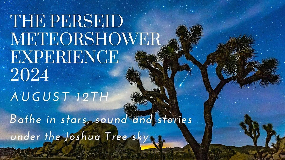 Perseids Meteor Shower Experience 2024, Joshua Tree RV & Campground, 12 ...