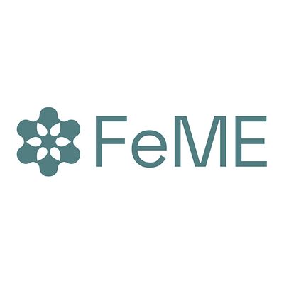 Failure Modes of Engineering logo