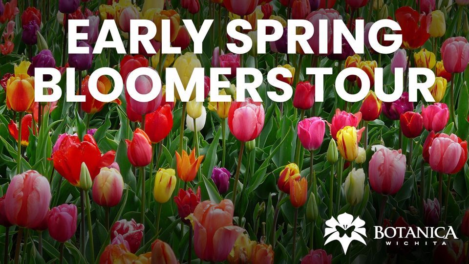Early Spring Bloomers Walking Tour, 701 Amidon St., Wichita, KS, United ...