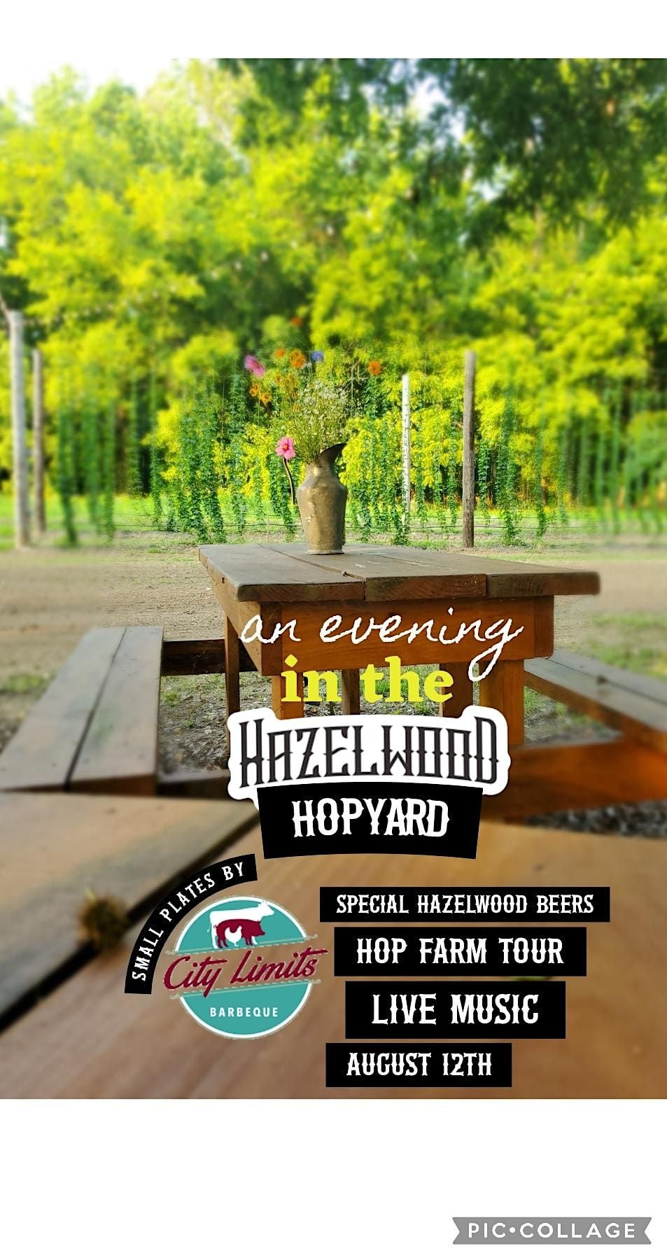 An Evening at the Hazelwood Farm, 170 Hazelwood Dr, Camden, 12 August