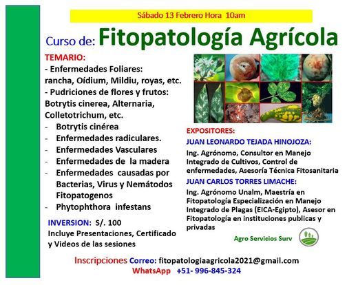 Agricola online, free Agricola online, free