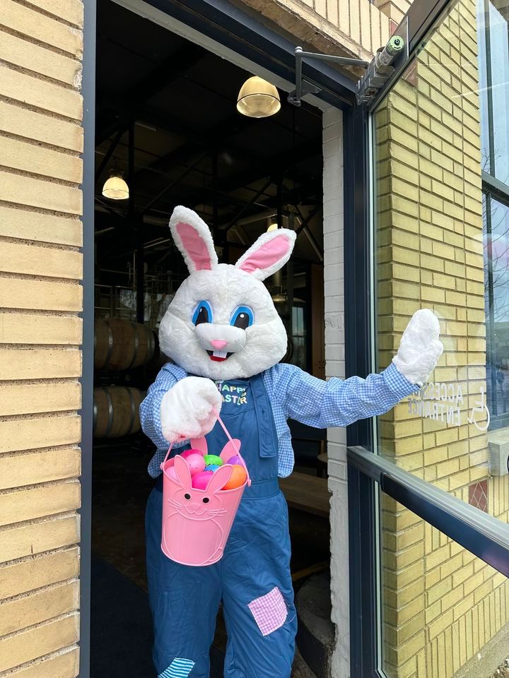 Easter Fun Waterloo TapRoom, SingleSpeed Brewing Co. (Waterloo, IA