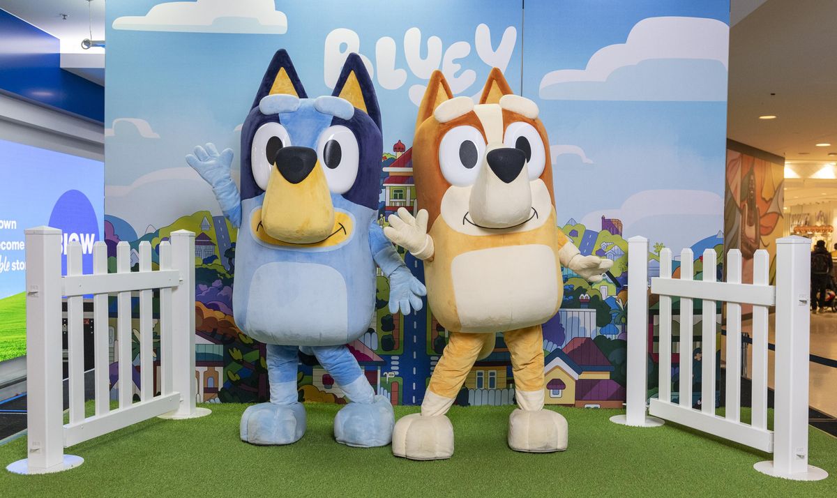 Bluey Meet And Greet Uk Bluey and Bingo Meet and Greet, Macarthur Square, Campbelltown, May 21