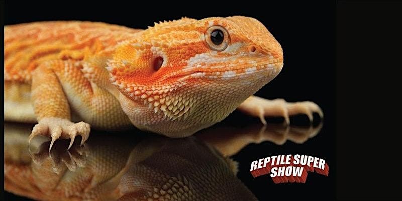 Reptile Super Show Anaheim, Ca. 1 DAY PASS July 8-9, 2023, Anaheim
