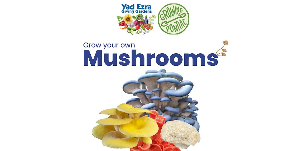 Grow Your Own Mushrooms Workshop, 10 February | Event in Berkley | AllEvents