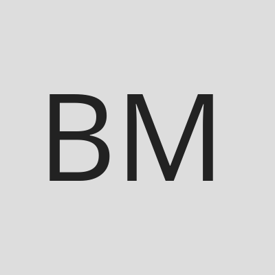 BlockChain Mint logo