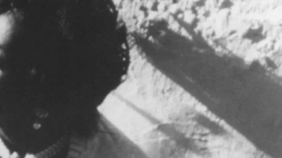 Dawn Penn, Eek-A-Mouse, Kiko Bun, Tippa Irie, Laid Blak in Bristol, 31 January | Event in Bristol | AllEvents