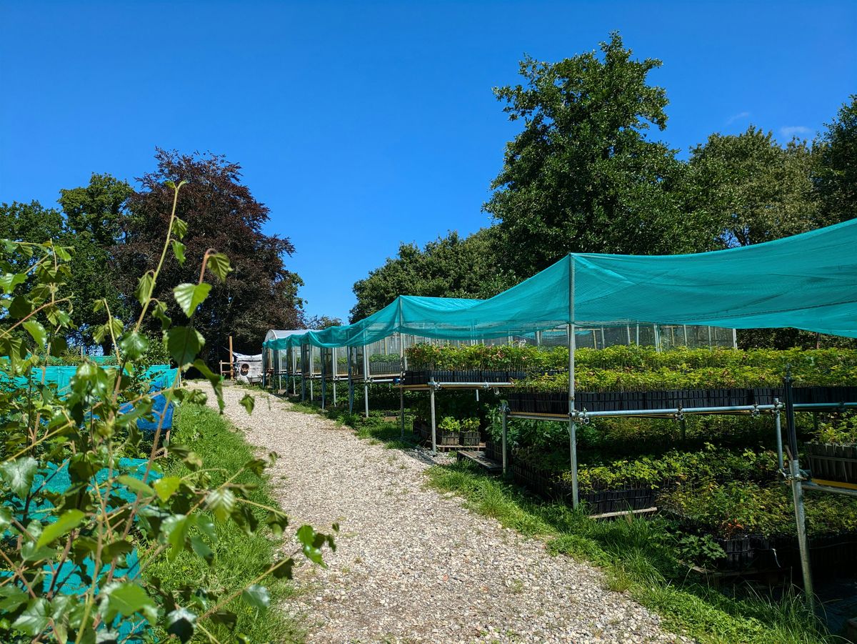 Nursery Maintenance at Dartington | Event in Dartington | AllEvents
