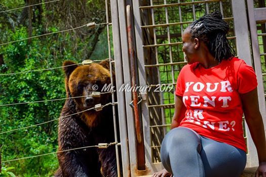 Ol Jogi Wildlife Conservancy Day Trip Sun Jul 28 2019 At 05 30 Am