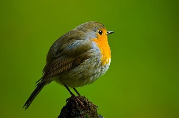 1st July 2022 Events In Toronto Toronto Events July 2022