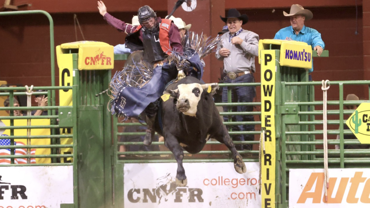 College National Finals Rodeo - Bulls & Broncs at Ford Wyoming Center, 15 June | Event in Casper | AllEvents