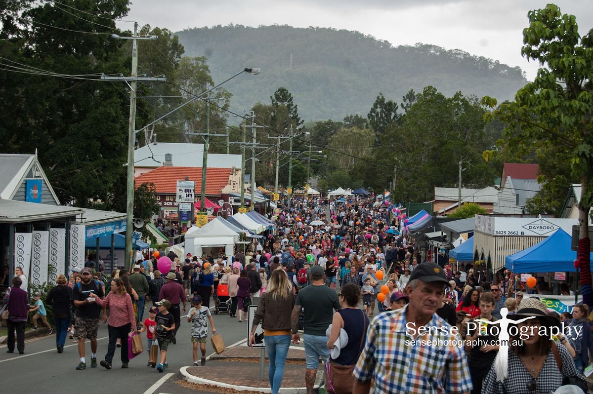 DAYBORO DAY FESTIVAL and Antique and Collectables Fair 2023, Dayboro