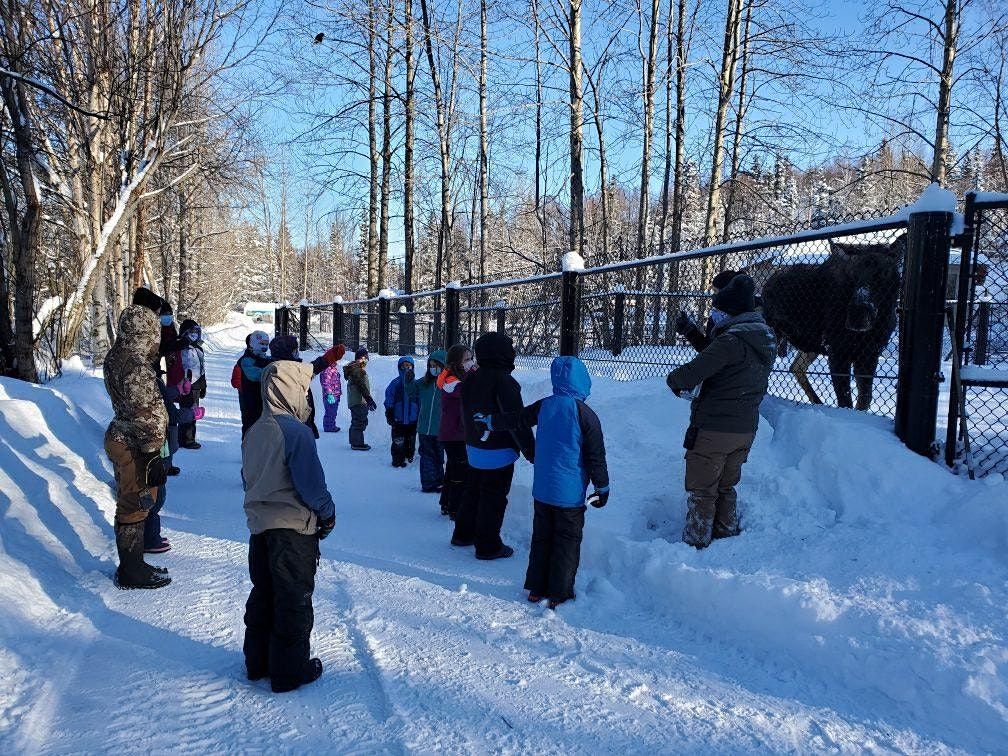 Christmas 2021 Alaska Events Christmas 2021 Events Activities In Anchorage Allevents In Christmas 2021 Alaska Events Christmas 2021 Events Activities In Anchorage Allevents In