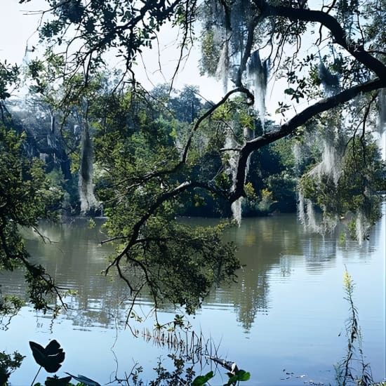 A Walk in the Park: City Park New Orleans Audio Tour, 16 March | Event in New Orleans | AllEvents