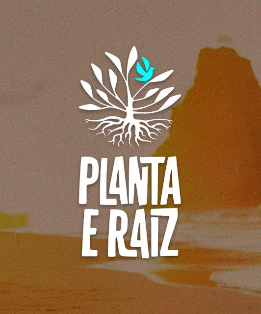 Planta E Raiz