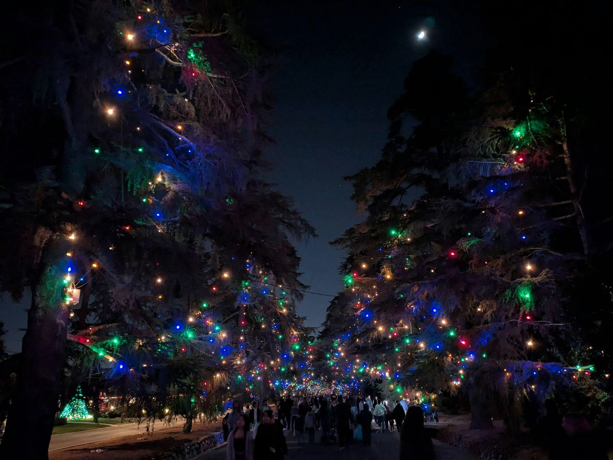 Christmas Tree Lane Bus Ride, 6 December | Event in Pasadena | AllEvents