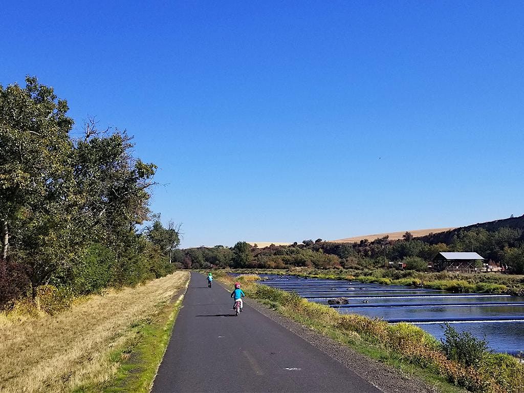 Volunteer and Learn about the Flood Structures of Mill Creek, 3211