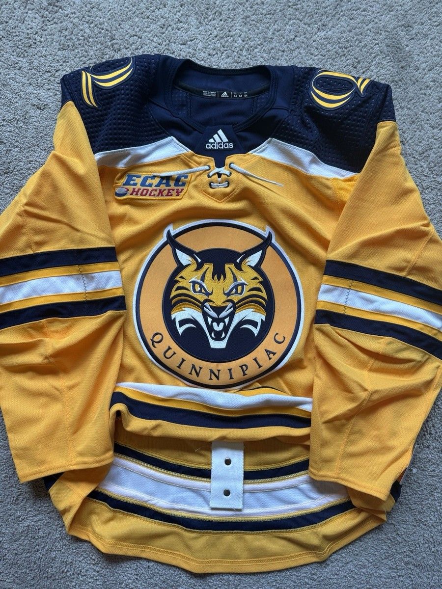 Brown Bears at Quinnipiac Bobcats Mens Hockey at M&T Bank Arena, 6 February | Event in Hamden | AllEvents