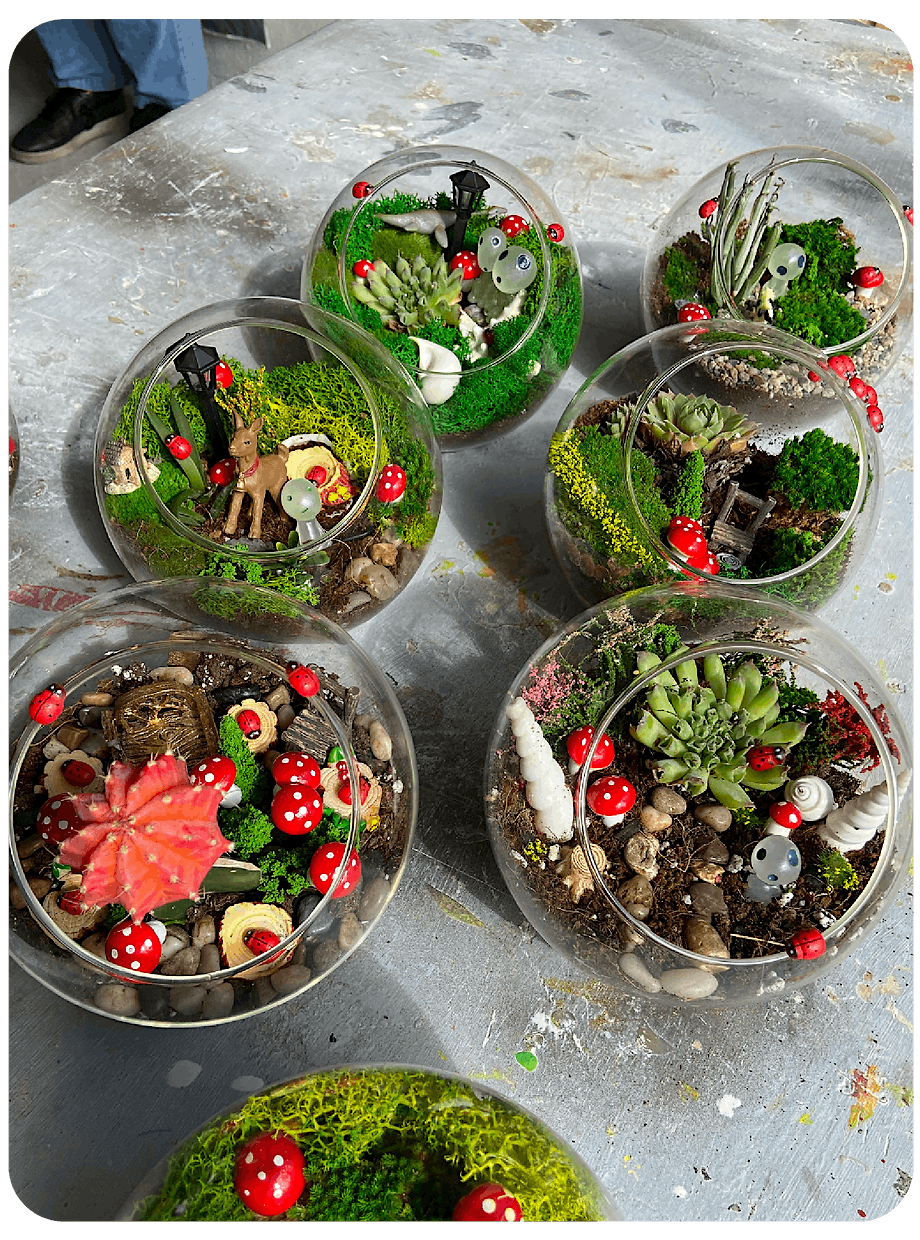 Terrarium Party, 213 Troutman St, Brooklyn, January 20 2024 AllEvents.in