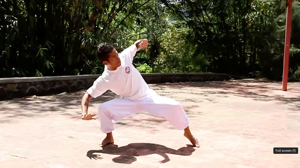 White Crane Kung Fu for All Levels - Intro to Animal Styles | Event in San Francisco | AllEvents