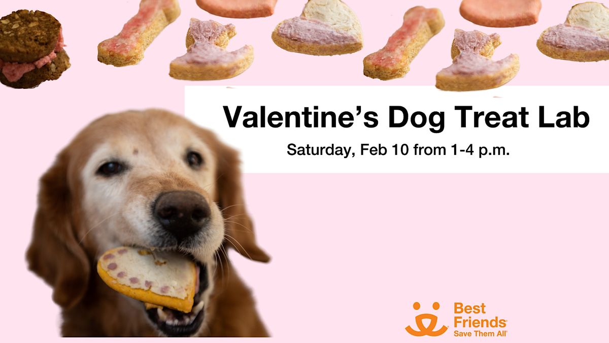 Valentines Day Dog Treat Lab, Best Friends Pet Resource Center in NW