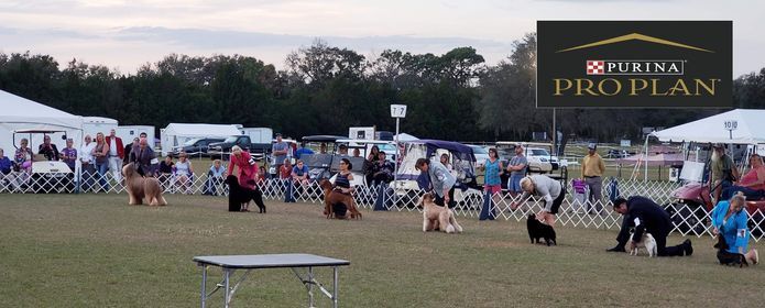 Akc Events Calendar 2021 Calendar June 2021 Akc Events Calendar 2021 Calendar June 2021