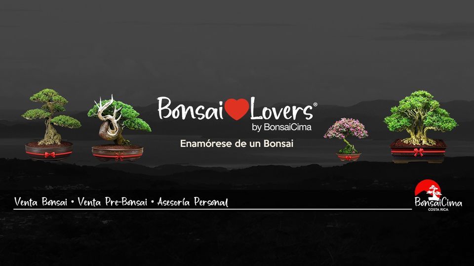 Bonsai ️Lovers® by BonsaiCima. Enamórese de un Bonsai, BonsaiCima Costa
