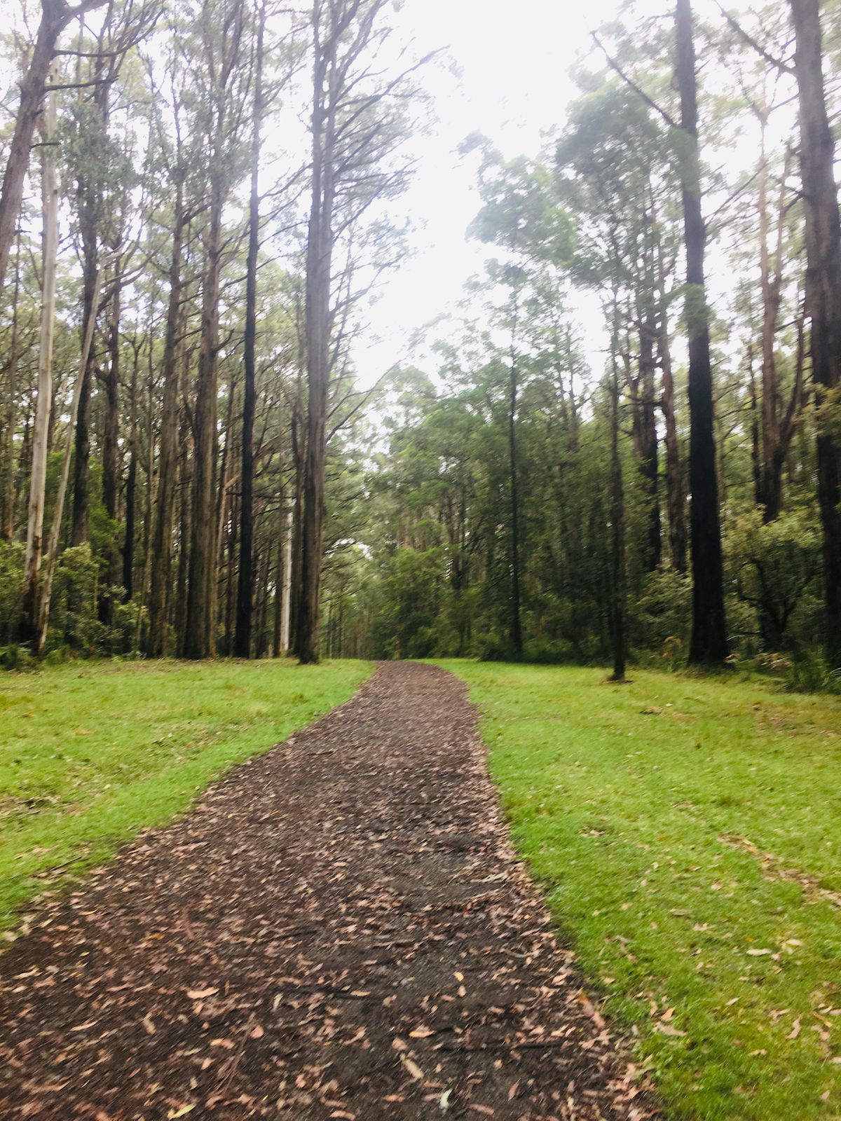 Sherbrooke Southern Circuit at Grants on the 3rd of July, 2023, Grant's Picnic Ground, Kallista Sherbrooke Southern Circuit at Grants on the 3rd of July, 2023, Grant's Picnic Ground, Kallista