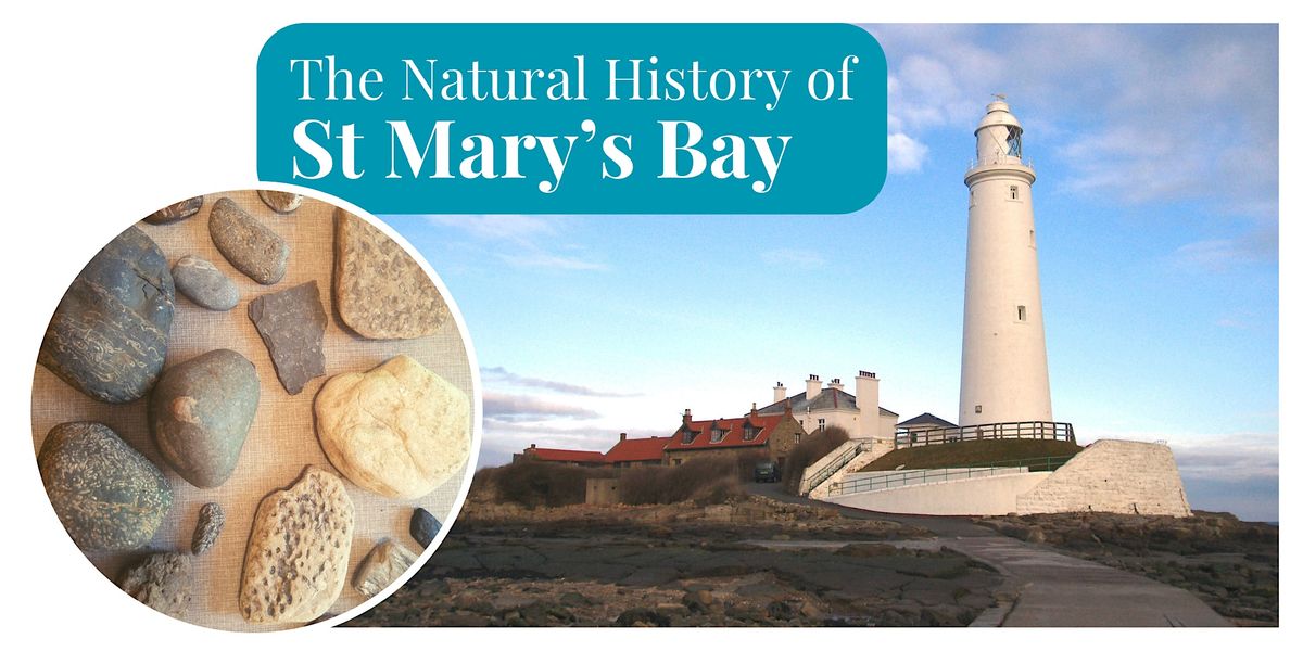 The Natural History of St Marys Bay - Blyth Library, Blyth Library, 15 ...