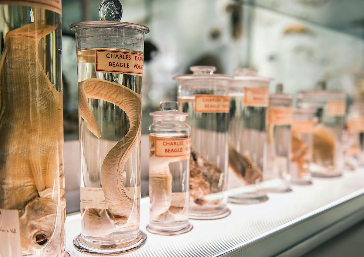 From Darwin to Dodos: Guided Tour of the Museum of Zoology | Event in Cambridge | AllEvents