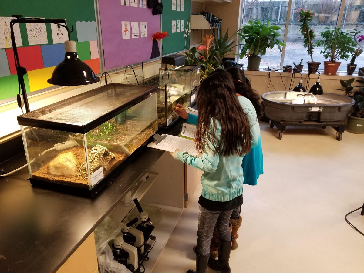 Afterschool Cohort Ecosystem Explorers Spring 2022 Van Andel Institute For Education Grand Rapids January 18 To April 28 Allevents In Grand Rapids January Events 2022