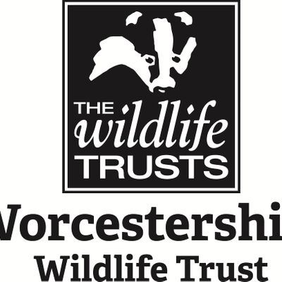 Worcestershire Wildlife Trust logo