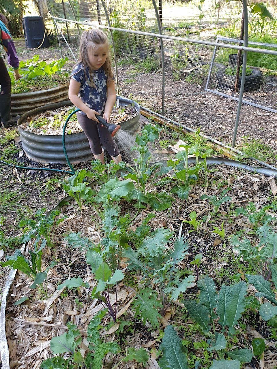 Tamborine Super Foods Nursery Trading Plants for your help, byo gloves